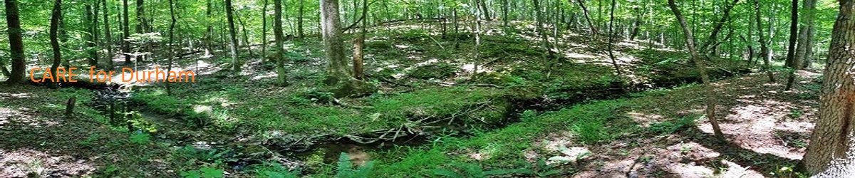 View of Arrowhead 